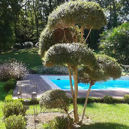 Bed & Breakfast La Lilas Des Fargues
