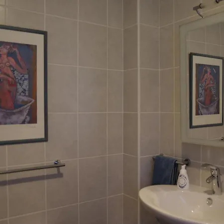 La Lilas Des Fargues 4* Albi