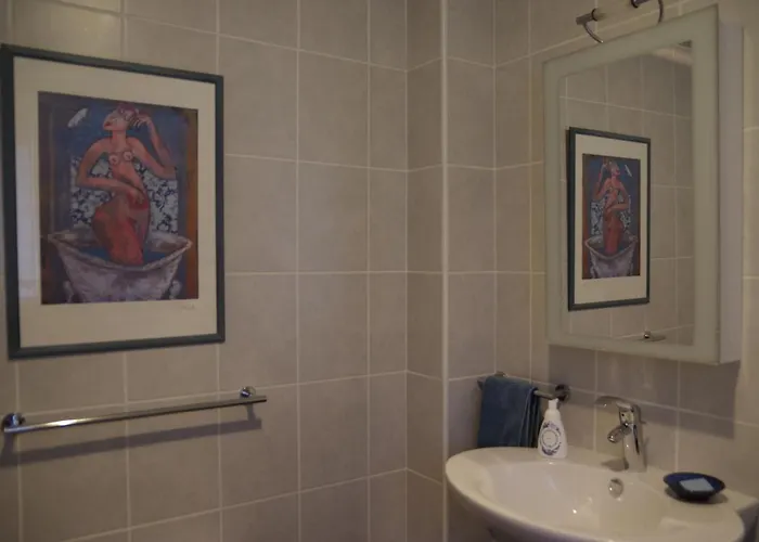 La Lilas Des Fargues 4* Albi